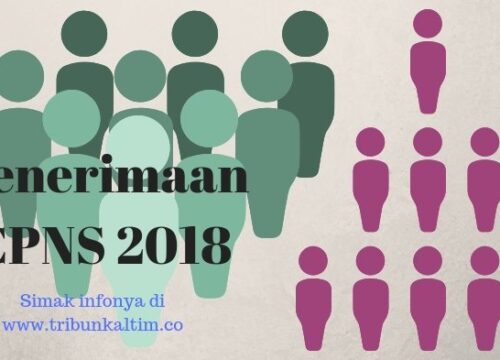 Kumpulan Soal CPNS 2018 Panduan Lengkap Persiapan