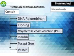 Rekayasa Genetika Manfaat dan Potensi untuk Kehidupan Manusia
