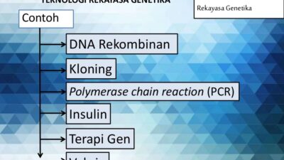 Rekayasa Genetika Manfaat dan Potensi untuk Kehidupan Manusia