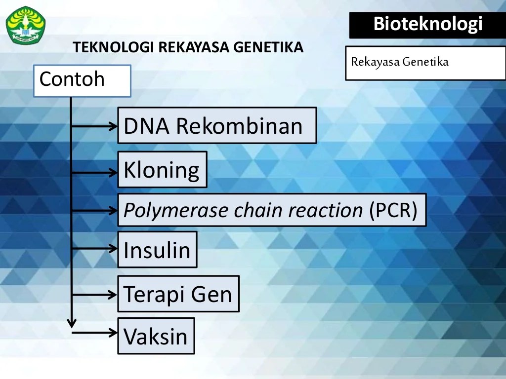 Rekayasa genetika sangat bermanfaat untuk kehidupan manusia antara lain