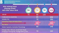 Memahami Tes TWK CPNS 2018 untuk Sukses