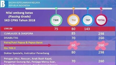Memahami Tes TWK CPNS 2018 untuk Sukses