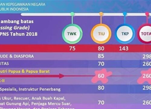 Memahami Tes TWK CPNS 2018 untuk Sukses