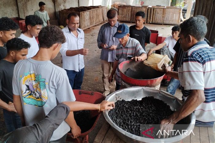 Layanan yang ditawarkan koperasi desa merah putih