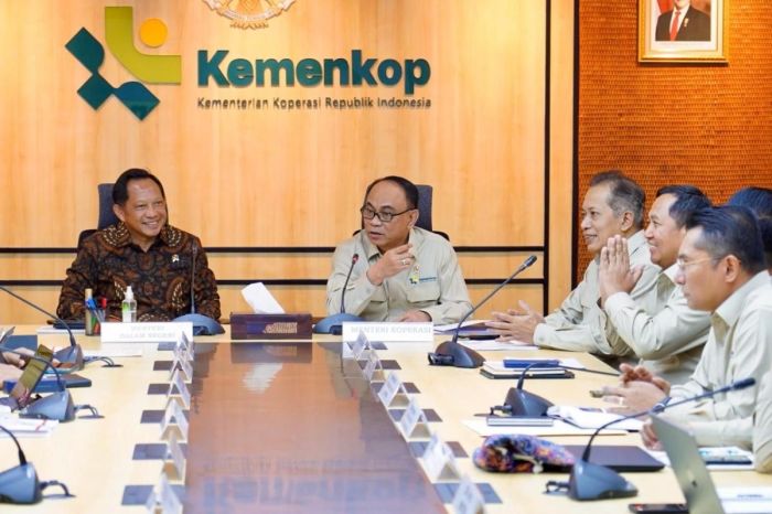 Alur kerja koperasi desa merah putih