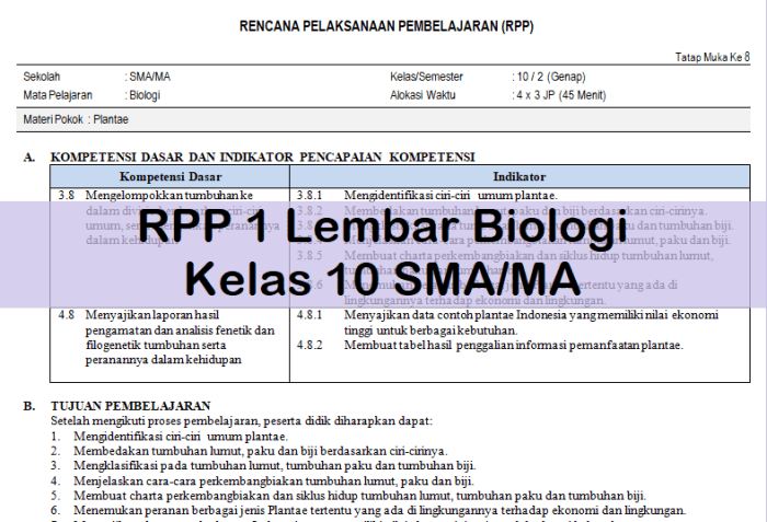 Rpp 1 lembar
