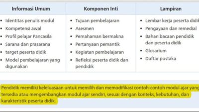 Contoh Remedial dan Pengayaan dalam RPP Strategi Peningkatan Pembelajaran