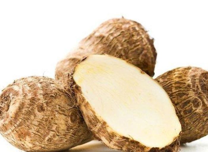 Cara Berkembang Biak Pohon Singkong Panduan Lengkap untuk Hasil Panen Optimal 2 Cara Berkembang Biak Pohon Singkong Panduan Lengkap untuk Hasil Panen Optimal