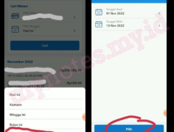 Cara Melihat Rekening BRI Panduan Lengkap Akses Informasi Saldo dan Transaksi