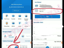 Cara Cek No Rekening BRI di HP Panduan Lengkap dan Mudah