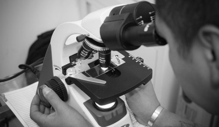 Cara Memegang Mikroskop yang Benar Panduan Lengkap untuk Pengamatan Optimal
