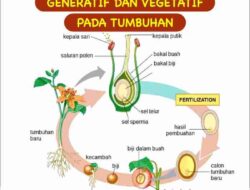 Daun Jeruk Berkembang Biak dengan Cara Panduan Lengkap dan Efektif