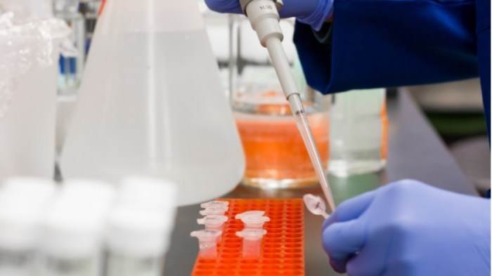 Cara penularan virus nipah