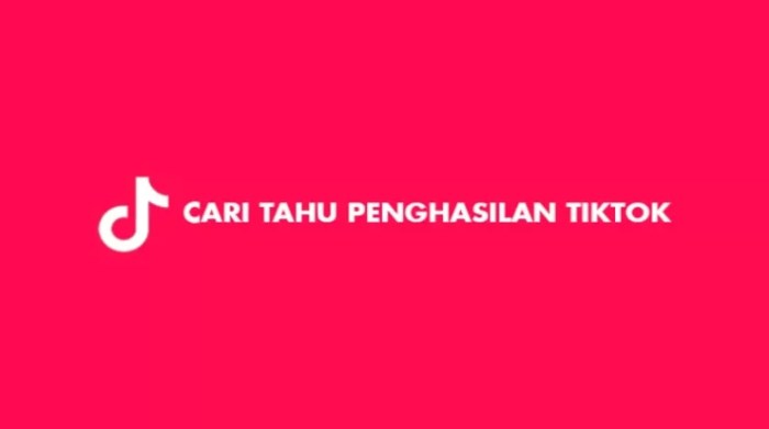 Cara cek penghasilan tiktok