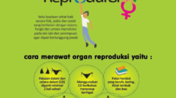 Cara Menjaga Organ Reproduksi Pria Panduan Lengkap untuk Kesehatan Optimal