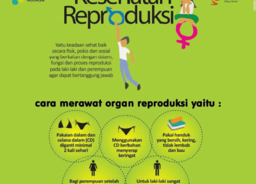 Cara Menjaga Organ Reproduksi Pria Panduan Lengkap untuk Kesehatan Optimal