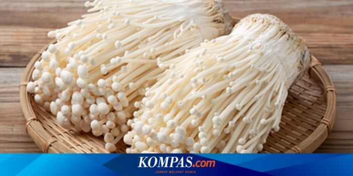 Cara Mudah Budidaya Jamur Enoki, Mulai dari Persiapan Hingga Panen ... Cara mencuci jamur enoki