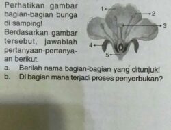 Gambar Bunga dan Cara Penyerbukan Keajaiban Alam dalam Perspektif Mendalam