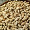 Cara Rebus Kacang Tanah Panduan Lengkap untuk Hasil Sempurna