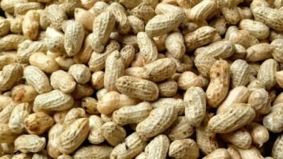 Cara Rebus Kacang Tanah Panduan Lengkap untuk Hasil Sempurna