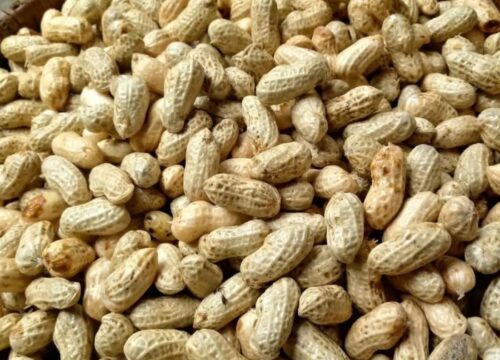 Cara Rebus Kacang Tanah Panduan Lengkap untuk Hasil Sempurna