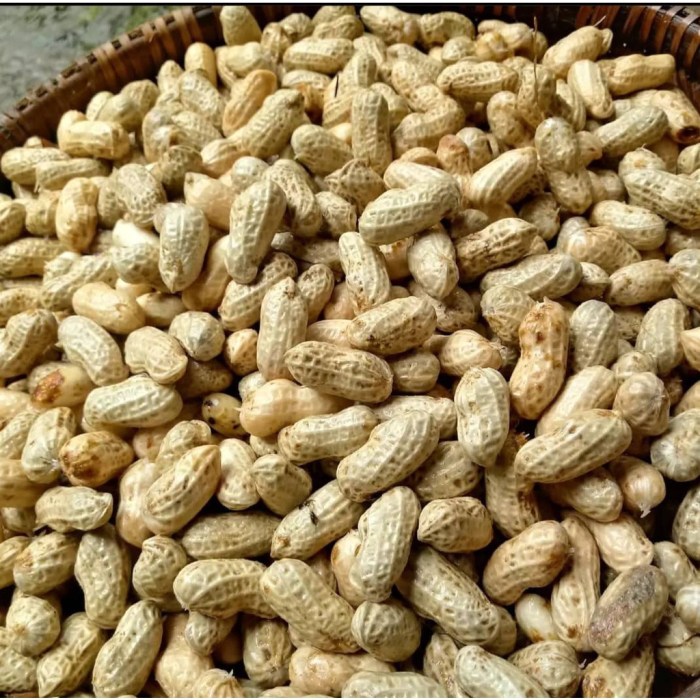 Cara rebus kacang tanah