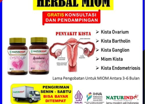 Cara Menghilangkan Miom Secara Alami Panduan Lengkap untuk Kesehatan Wanita