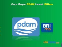 Cara Bayar PDAM Lewat BRIMO Panduan Lengkap dan Praktis untuk Pembayaran Air