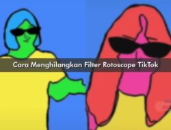Cara Menghilangkan Filter Rotoscope TikTok Panduan Lengkap dan Solusi Praktis