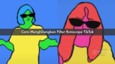 Cara menghilangkan filter rotoscope tiktok