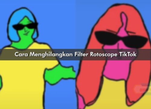 Cara Menghilangkan Filter Rotoscope TikTok Panduan Lengkap dan Solusi Praktis