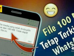 Cara Kirim File Besar di WA Solusi Efektif dan Praktis untuk Berbagi File