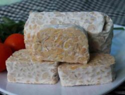 Langkah Langkah Cara Membuat Tempe Panduan Lengkap dan Mudah untuk Pemula