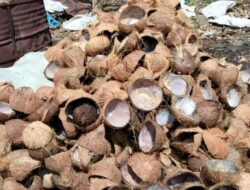 Cara Membuat Briket Batok Kelapa Panduan Lengkap dan Berkelanjutan