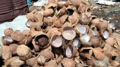 Cara Membuat Briket Batok Kelapa Panduan Lengkap dan Berkelanjutan