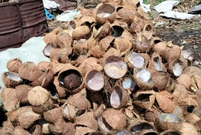 Cara membuat briket batok kelapa