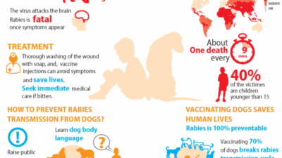 Cara Penularan Rabies dari Manusia ke Manusia Risiko dan Pencegahan