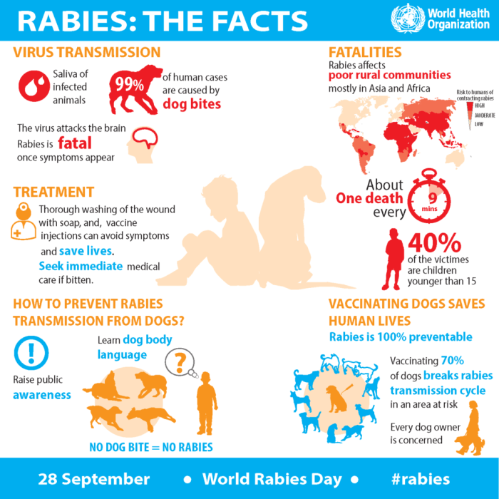 Cara penularan rabies dari manusia ke manusia
