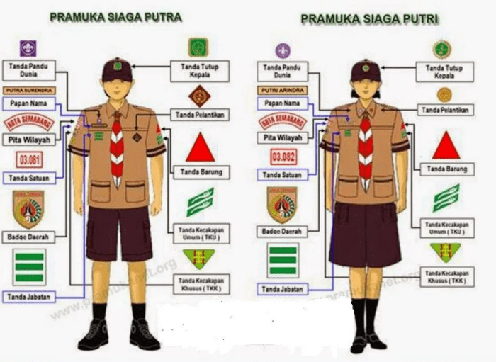 Cara Memakai Seragam Pramuka Lengkap SD Panduan Praktis dan Mudah Dipahami 6 Cara Memakai Seragam Pramuka Lengkap SD Panduan Praktis dan Mudah Dipahami