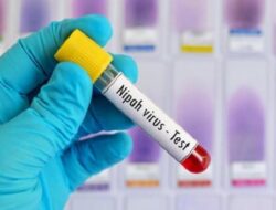 Cara Penularan Virus Nipah Memahami Jalur Penyebaran dan Pencegahannya