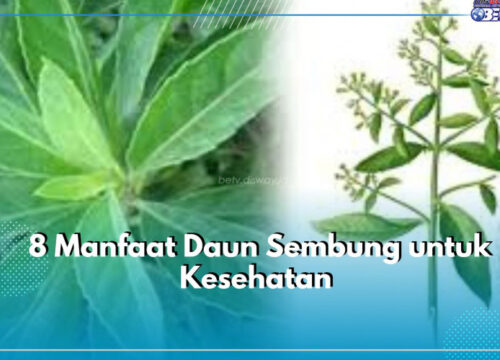 Cara Mengolah Serai untuk Obat Manfaat, Resep, dan Tips Ampuh