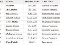 Cara Nulis Angka Arab Panduan Lengkap dan Praktis untuk Pemula