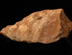 Penemuan Alat Batu Kuno di Sulawesi Jadi Sorotan Dunia Arkeologi