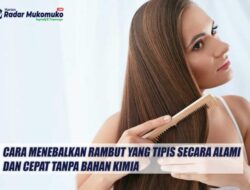 Cara Agar Rambut Tidak Ketombean Panduan Lengkap untuk Kulit Kepala Sehat