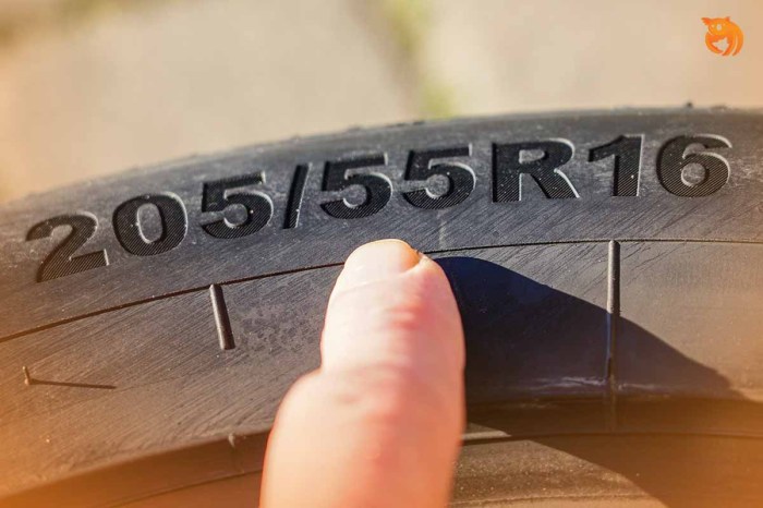 Cara Melihat Ukuran Ban Panduan Lengkap untuk Pemilik Kendaraan 5 Cara Melihat Ukuran Ban Panduan Lengkap untuk Pemilik Kendaraan