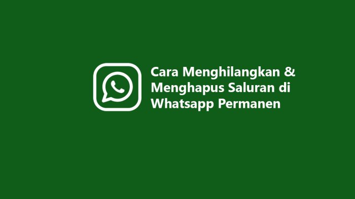Cara menonaktifkan saluran di wa