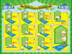 Cara Sholat yang Benar dan Bacaannya Panduan Lengkap Ibadah Muslim