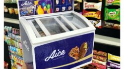 Cara Mendapatkan Freezer Campina Panduan Lengkap untuk Peluang Bisnis Es Krim