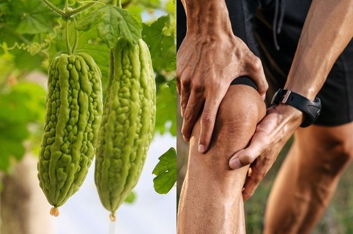 Cara mengolah pare untuk asam urat