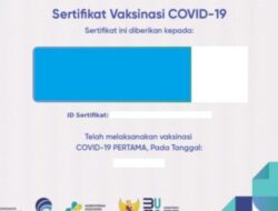 Cara Dapat Sertifikat Vaksin Panduan Lengkap dan Informasi Terkini 6 Cara Dapat Sertifikat Vaksin Panduan Lengkap dan Informasi Terkini